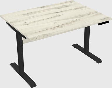 Dual motor electric desk