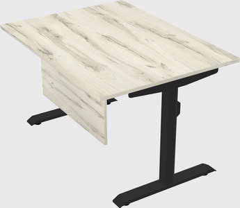 Dual motor electric desk