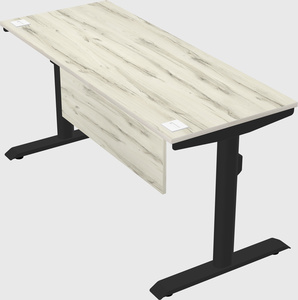 Dual motor electric desk