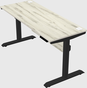Dual motor electric desk