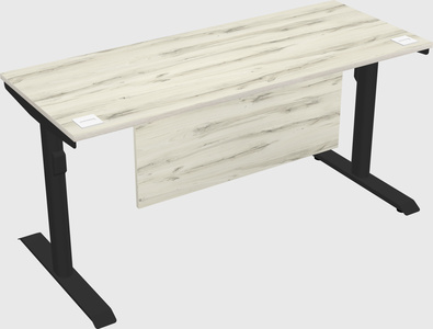 Dual motor electric desk