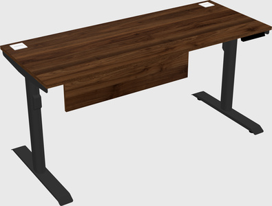 Dual motor electric desk