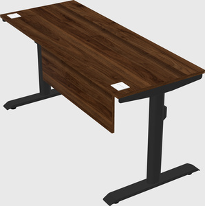 Dual motor electric desk