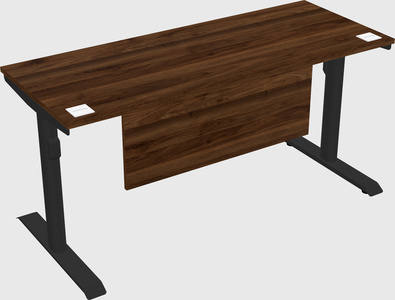 Dual motor electric desk