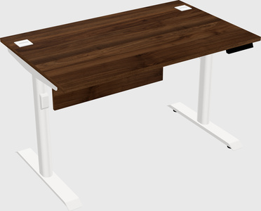 Dual motor electric desk