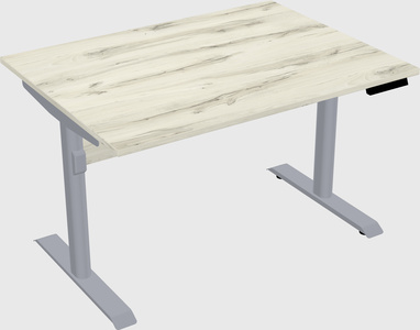 Dual motor electric desk
