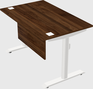 Dual motor electric desk