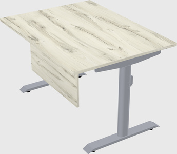 Dual motor electric desk
