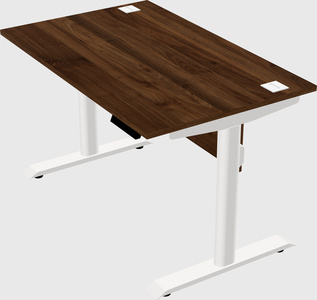 Dual motor electric desk