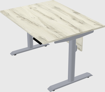 Dual motor electric desk