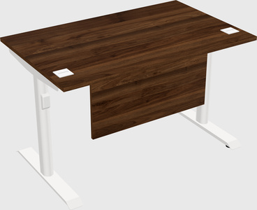 Dual motor electric desk