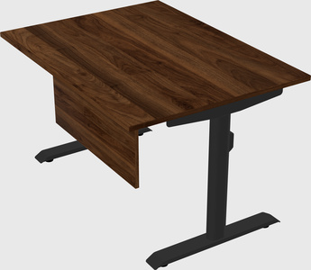 Dual motor electric desk