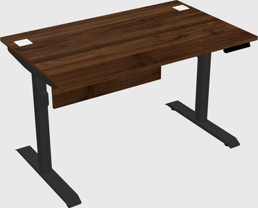Dual motor electric desk