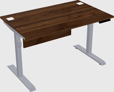Dual motor electric desk