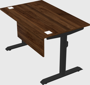 Dual motor electric desk
