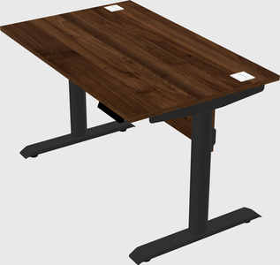 Dual motor electric desk