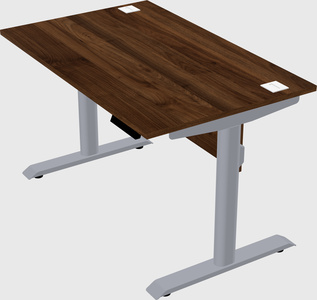 Dual motor electric desk