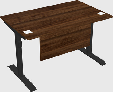 Dual motor electric desk