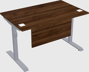 Dual motor electric desk