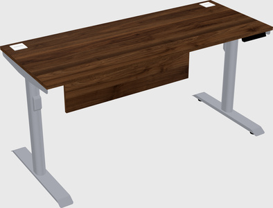 Dual motor electric desk