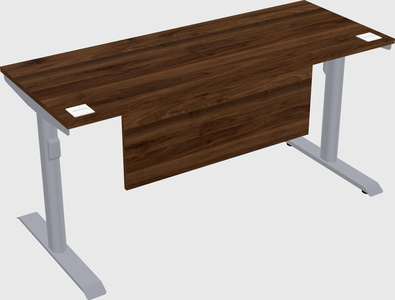 Dual motor electric desk