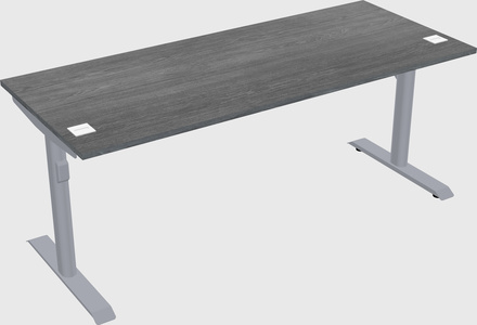 Dual motor electric desk