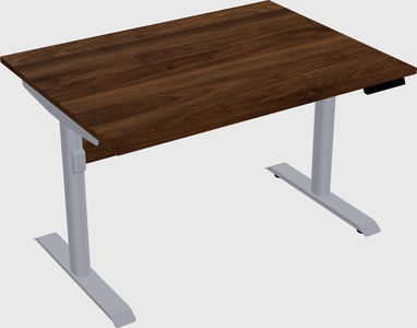 Dual motor electric desk
