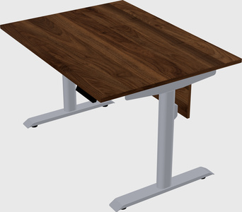 Dual motor electric desk