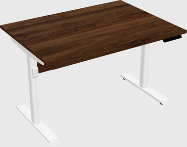 Dual motor electric desk