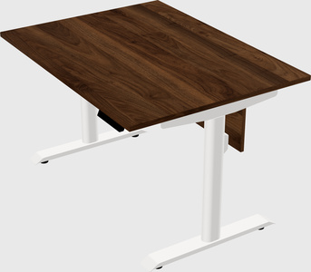 Dual motor electric desk