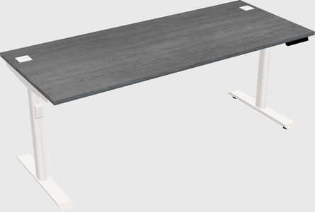 Dual motor electric desk