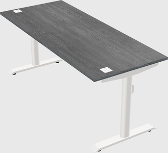Dual motor electric desk