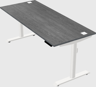 Dual motor electric desk
