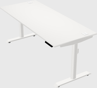 Dual motor electric desk