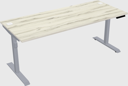 Dual motor electric desk
