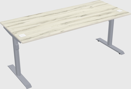 Dual motor electric desk
