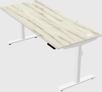 Dual motor electric desk