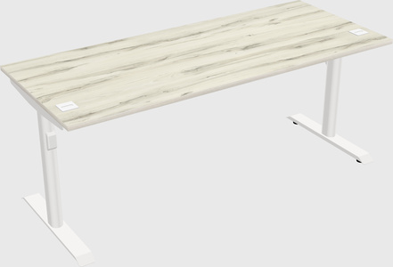 Dual motor electric desk