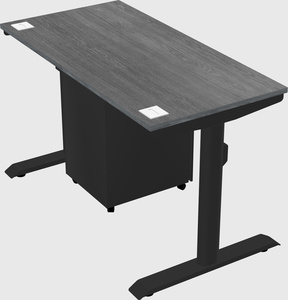 Dual motor electric desk