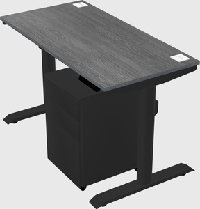 Dual motor electric desk
