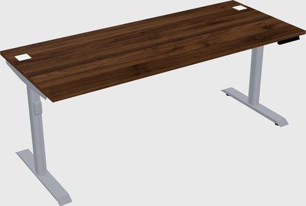 Dual motor electric desk