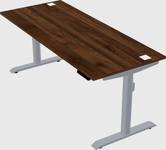 Dual motor electric desk