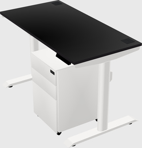 Dual motor electric desk