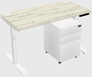 Dual motor electric desk