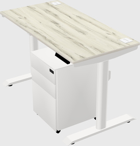 Dual motor electric desk