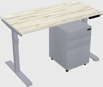 Dual motor electric desk