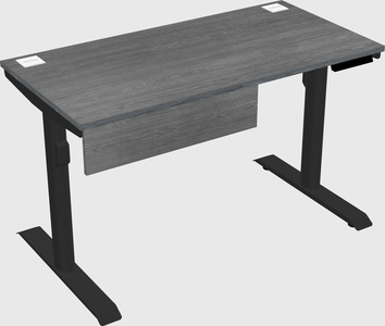 Dual motor electric desk