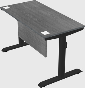 Dual motor electric desk