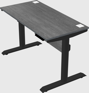 Dual motor electric desk