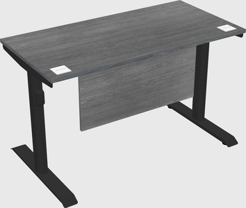 Dual motor electric desk